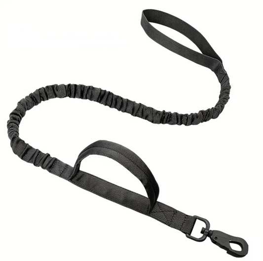 BUNGEE LEAD