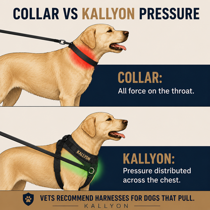 Kallyon No Pull Dog Harness