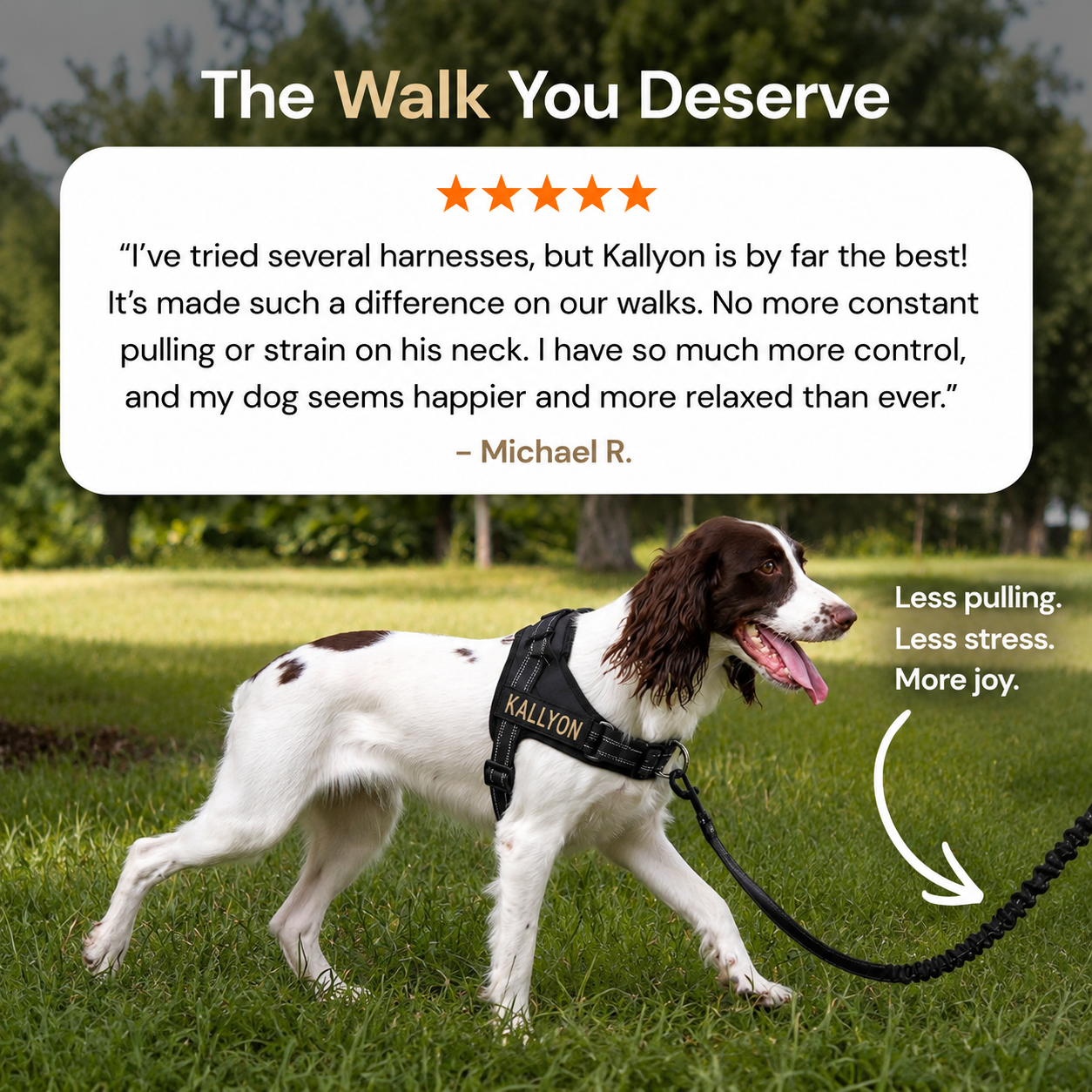 Kallyon No Pull Dog Harness